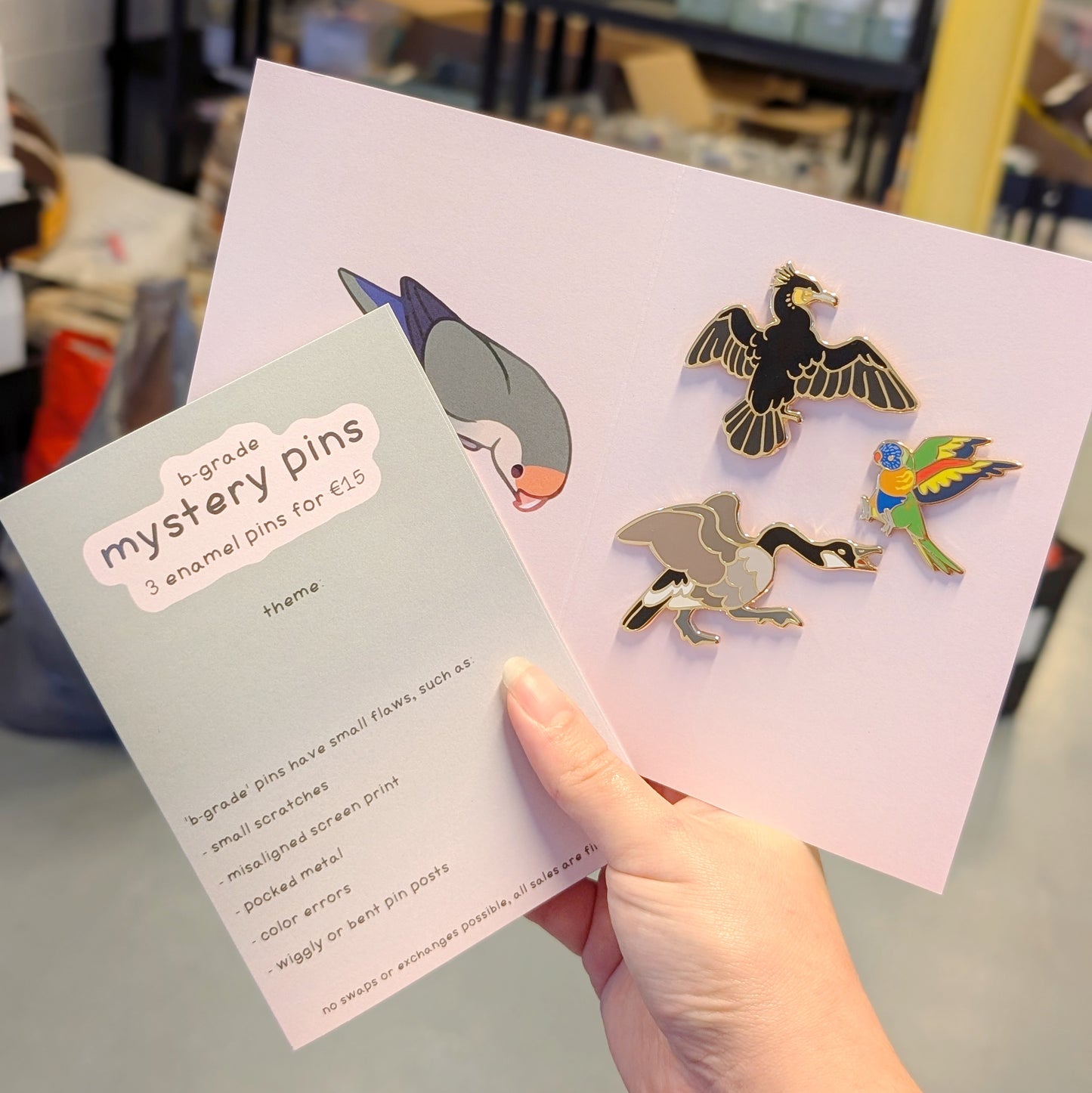 B-grade Mystery Pin Set