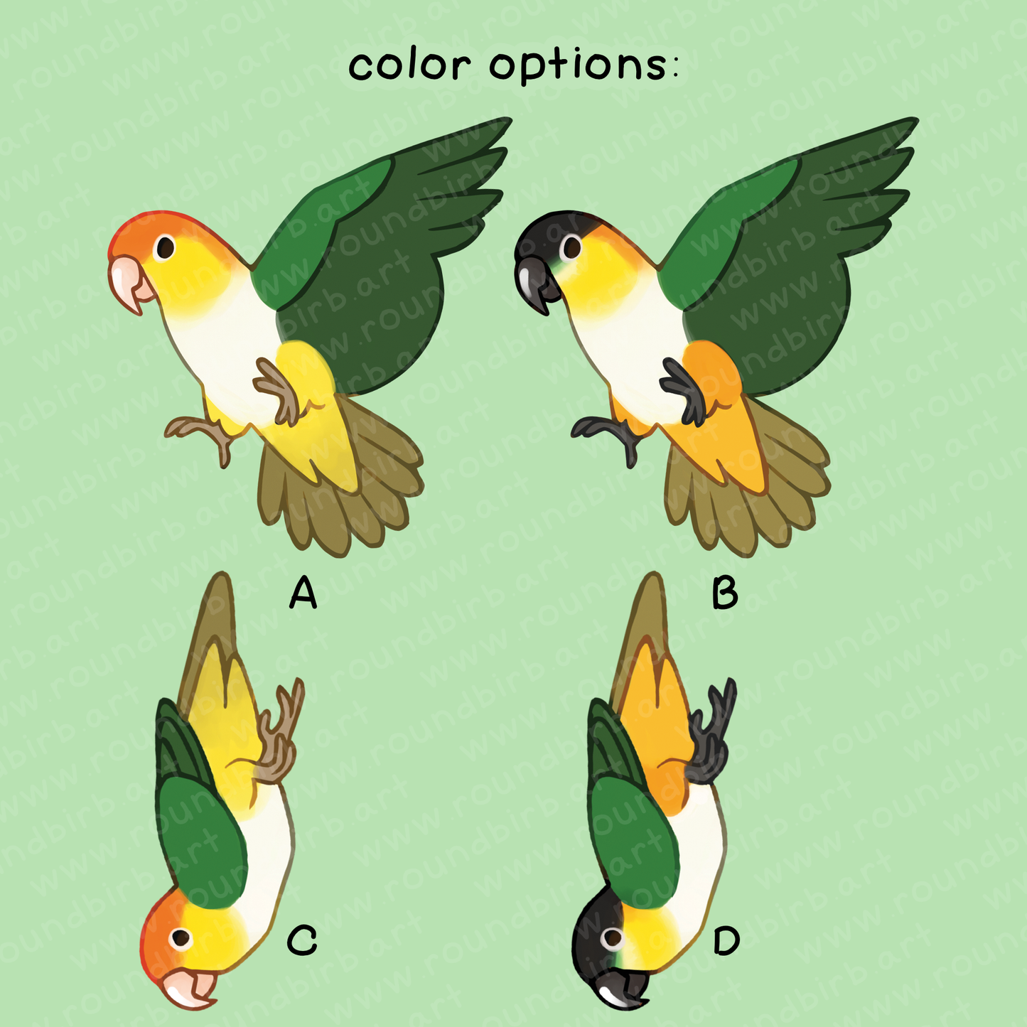 Caique Acrylic Keychain
