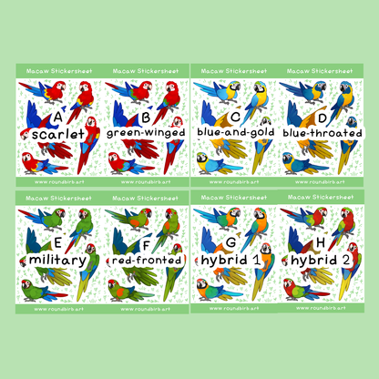 Macaw Stickersheet