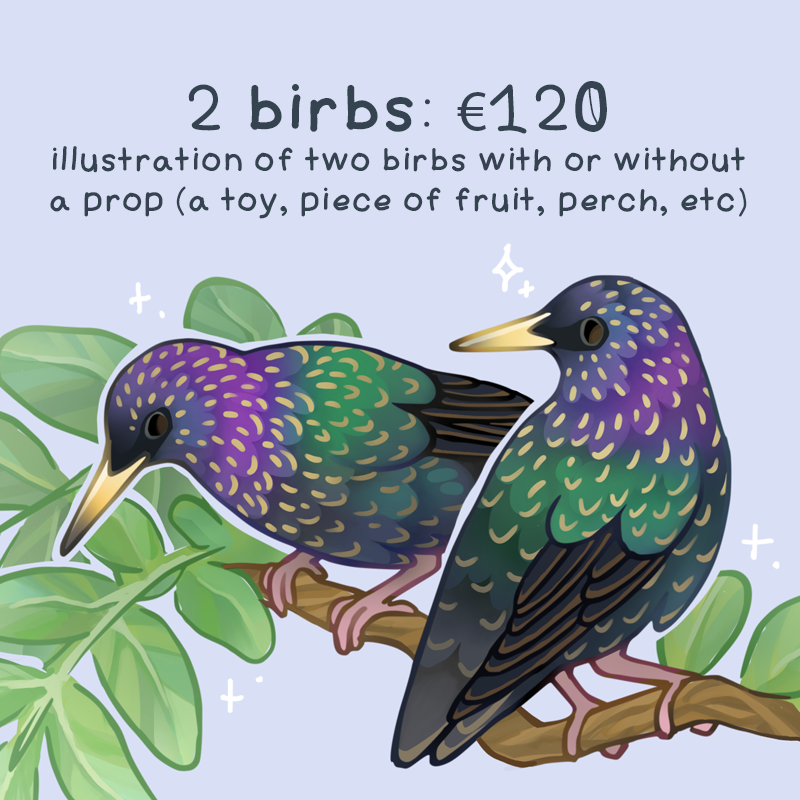 Custom Illustration