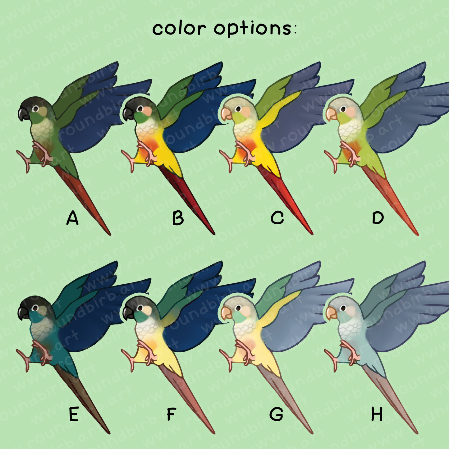 Small Conure Acrylic Keychain