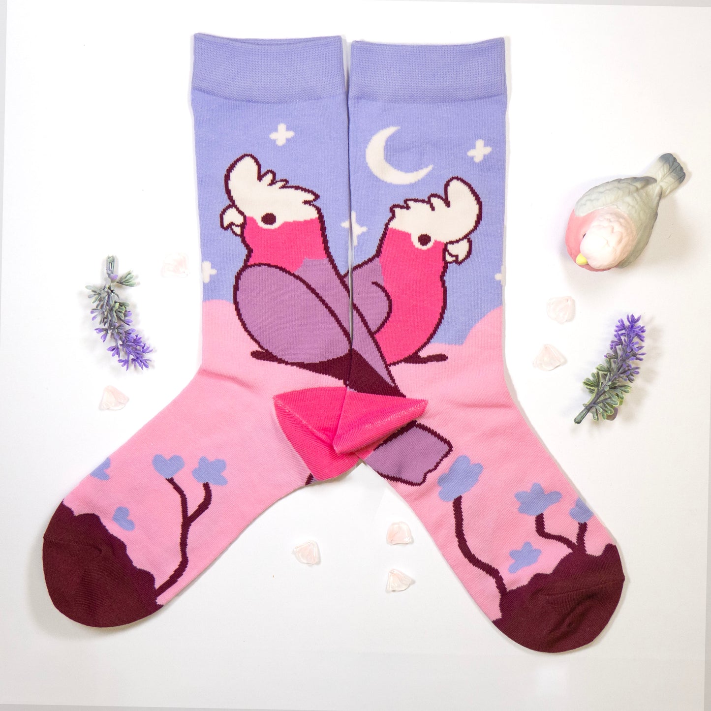 Galahs Cotton Socks