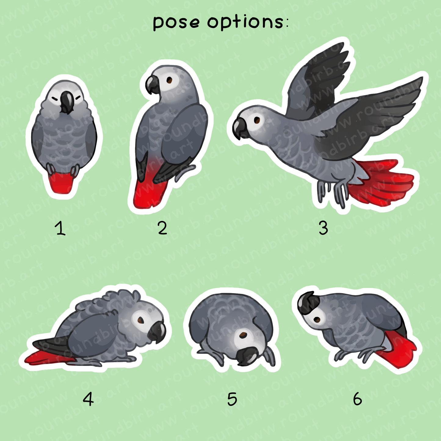 African Grey Vinyl Stickers