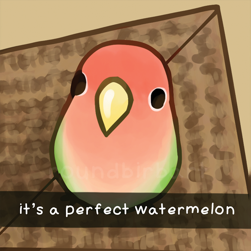 Perfect Watermelon Vinyl Sticker