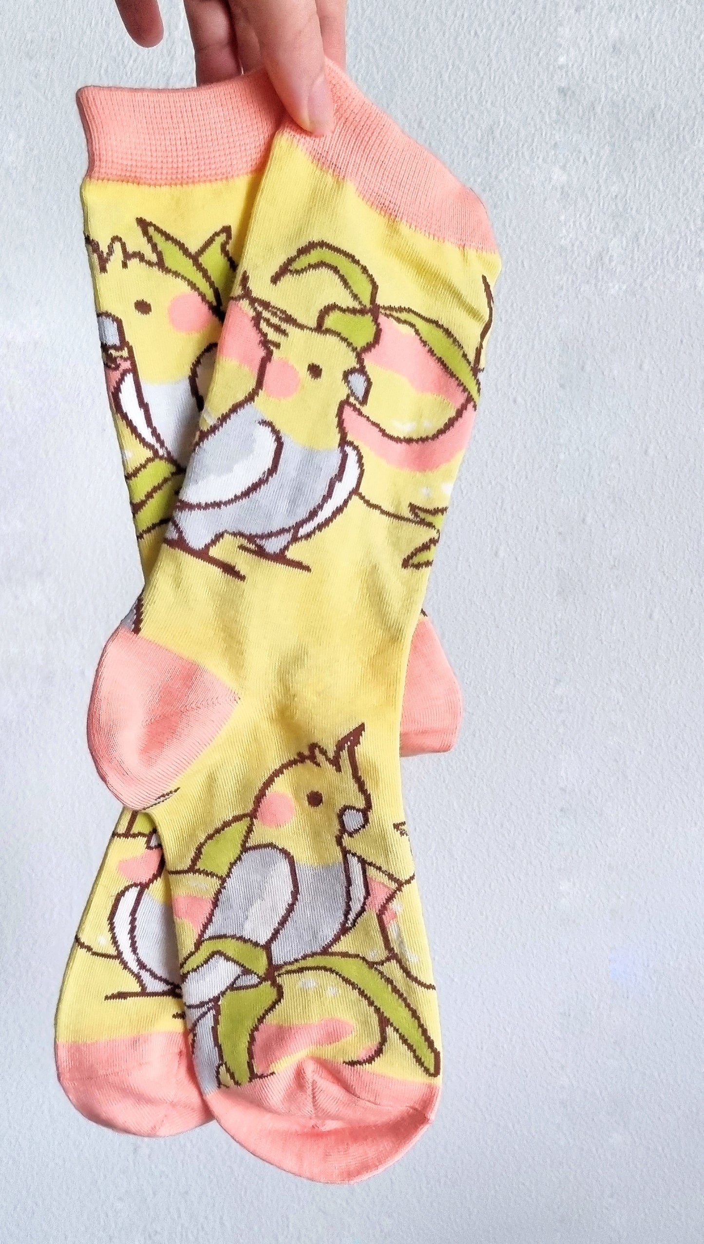 Cockatiel & Peaches Cotton Socks