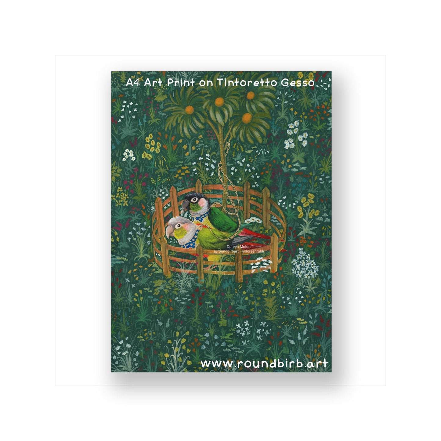 The Conures in Captivity A4 Print