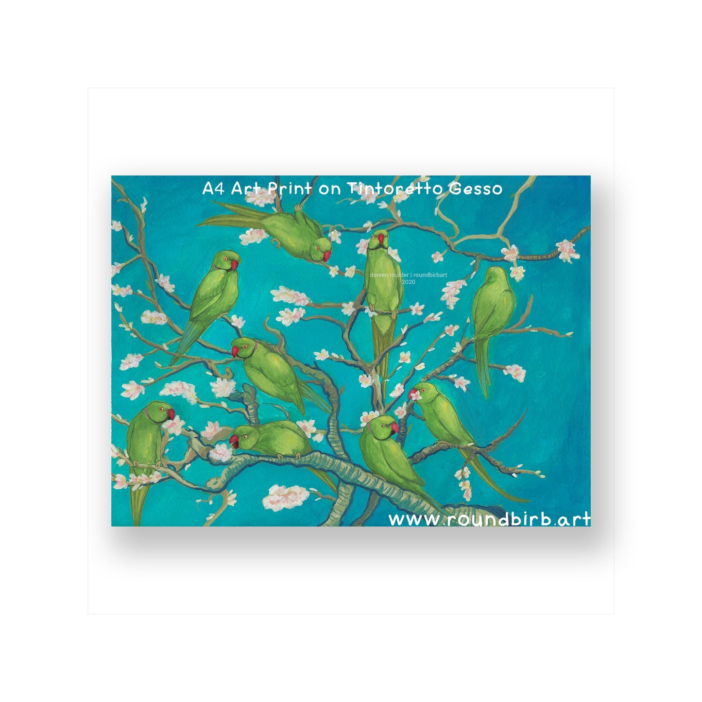 Ringneck Blossoms A4 Print