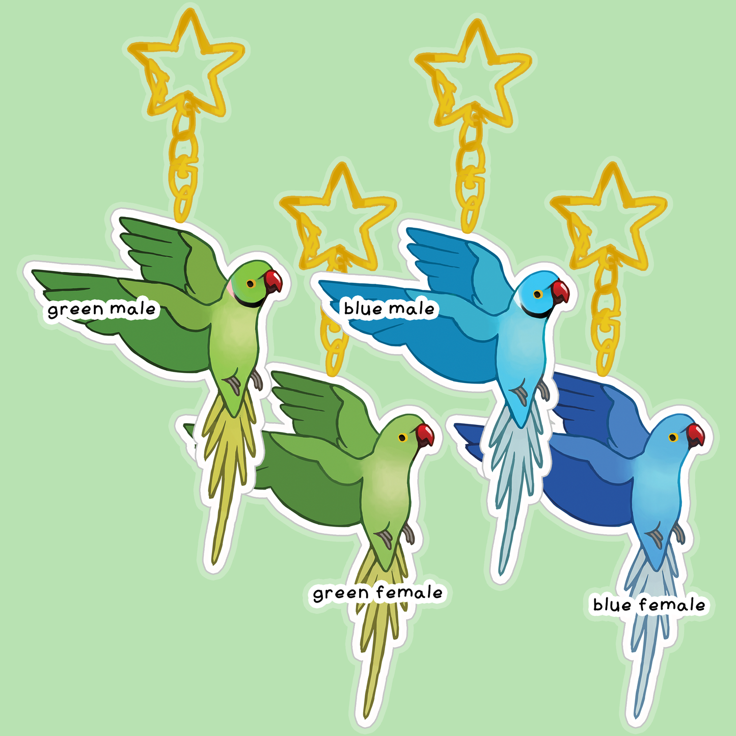 Ringneck Parrot Acrylic Keychain - XL