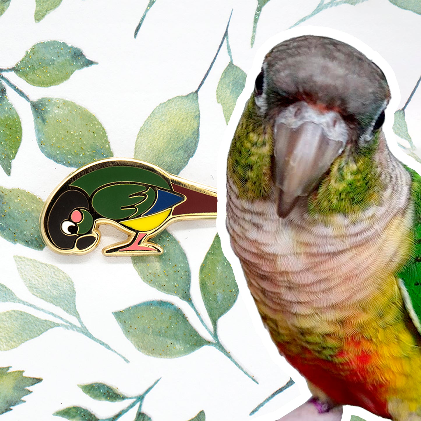 Foot Check! Green Cheek Conure Pin