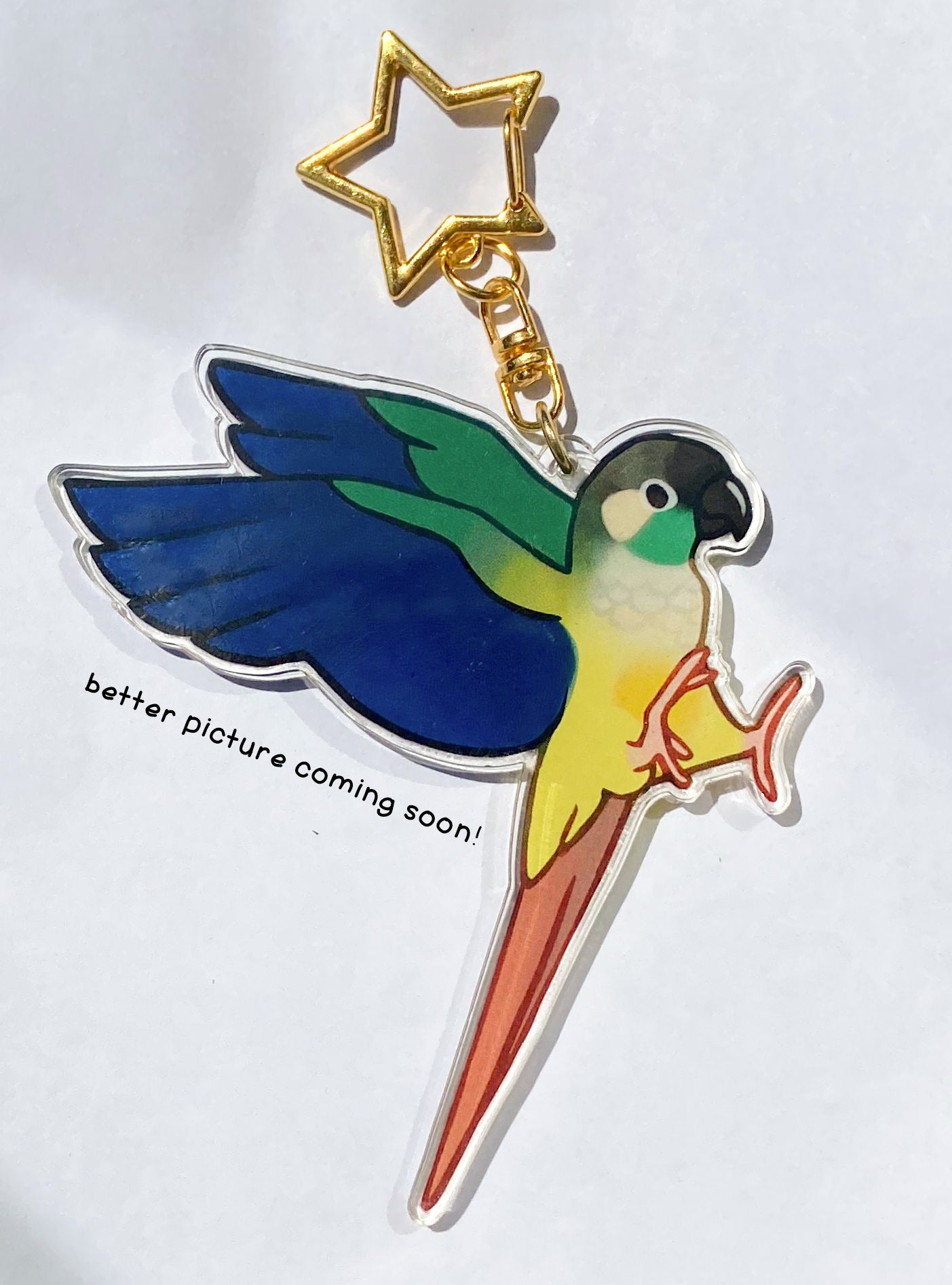 Conure Acrylic Keychain