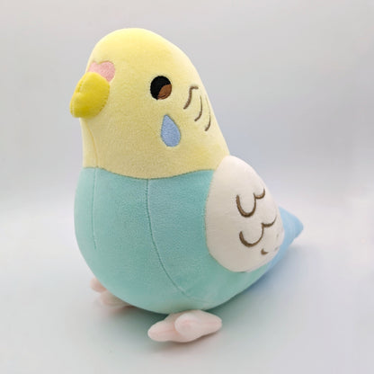 Aurora the Rainbow Budgie
