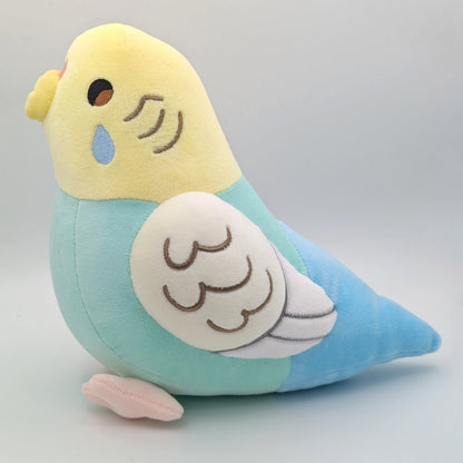 Aurora the Rainbow Budgie
