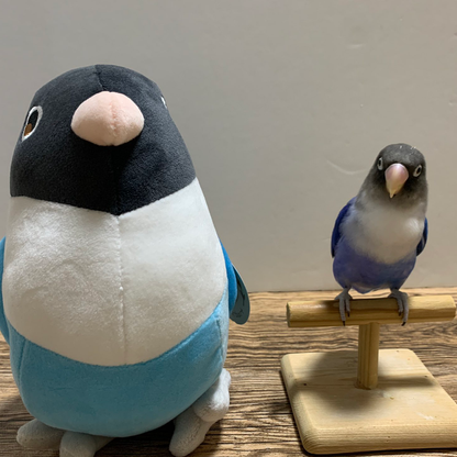 [pre-order] Blue the Blue Masked Lovebird Plushie