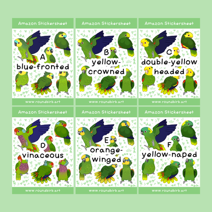 Amazon Parrot Stickersheet