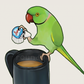 Ringneck Coffee Vinyl Sticker