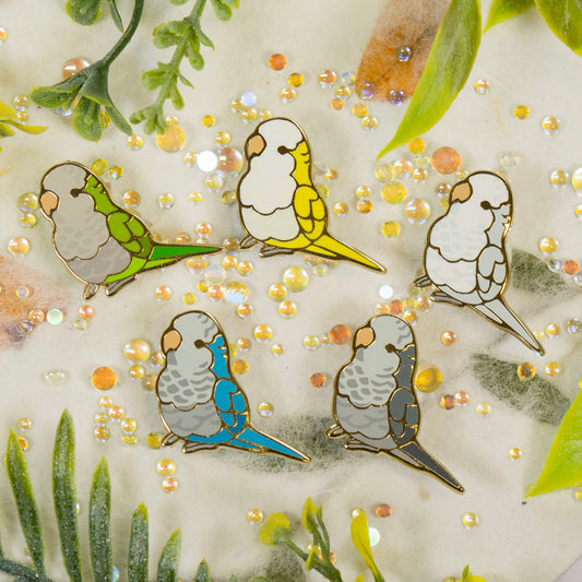 Quaker Parrot Pin