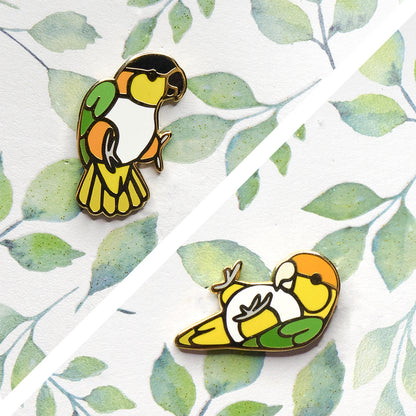 Caique Pin