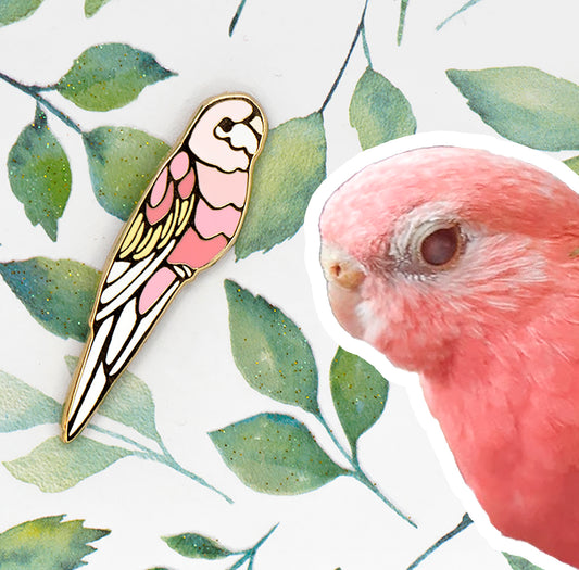 Bourke Parrot Pin
