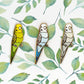 Budgie Pin