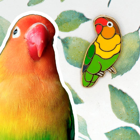 Fischer's Lovebird Mini Pin