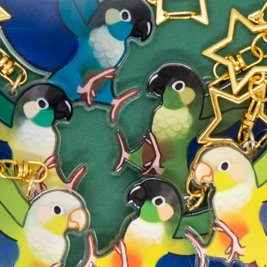 Small Conure Acrylic Keychain