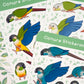 Small Conure Stickersheet