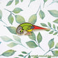 Foot Check! Green Cheek Conure Pin