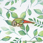 Foot Check! Green Cheek Conure Pin