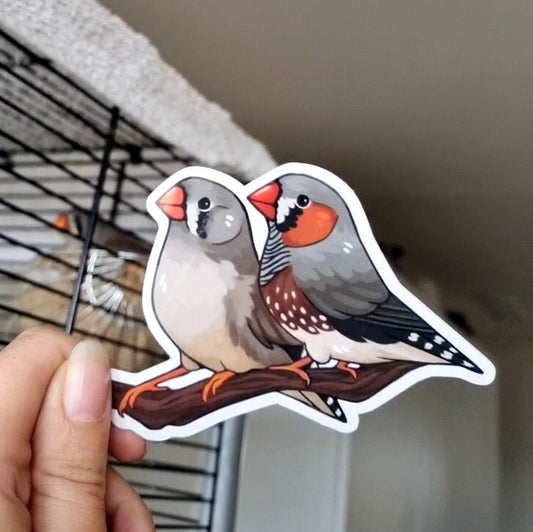 Zebra Finch Vinyl Sticker