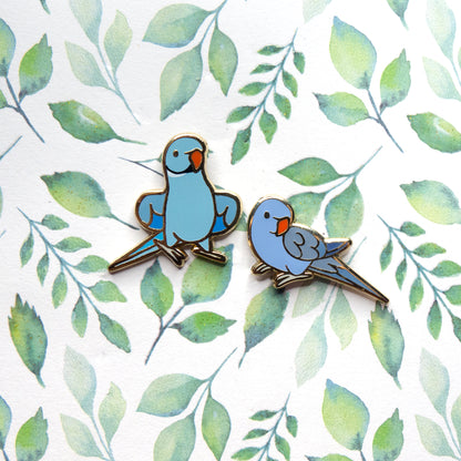 Ringneck Parrot Pin