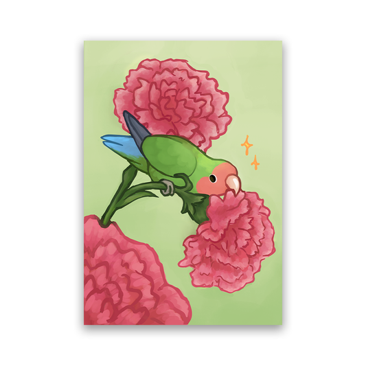Lovebird & Carnations A4 Print