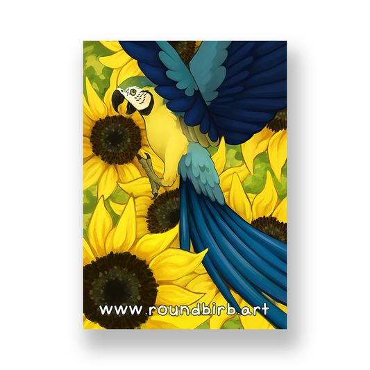 Blue & Gold Macaw Print
