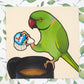 Ringneck and Coffee Mini Print