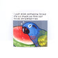 Set of 5 Bird Meme Vinyl Stickers