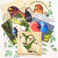 Set of 5 Bird Meme Vinyl Stickers
