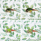 Foot Check! Green Cheek Conure Pin