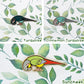 Foot Check! Green Cheek Conure Pin