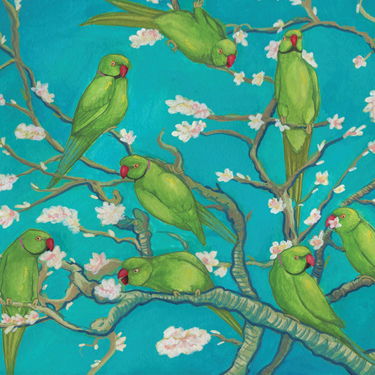 Ringneck Blossoms A4 Print