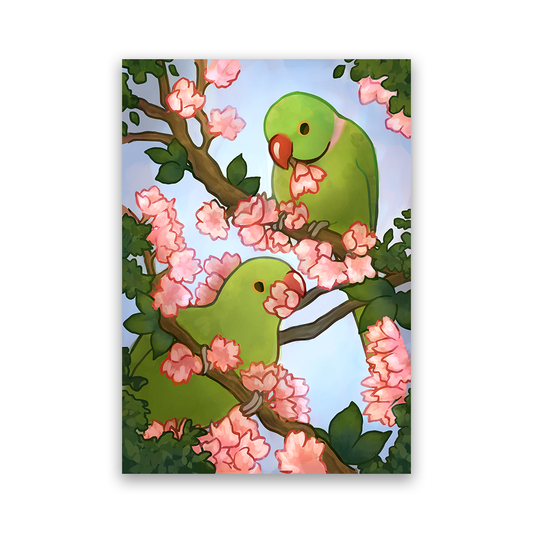 Ringneck & Blossoms A4 Print