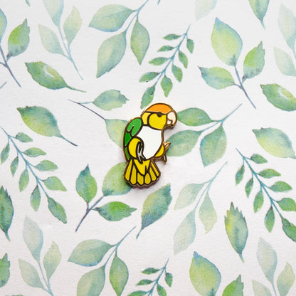 Caique Pin